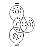 Lewis dot structure of carbonate ion